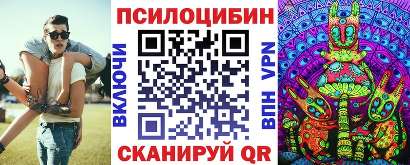 где купить   Ирбит  Галлюциногенные грибы Psilocybine cubensis 